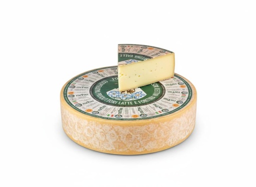 Fontina DOP 1/4 1,7 Kg (cca)